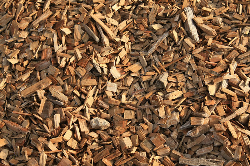 Wood chip mulch